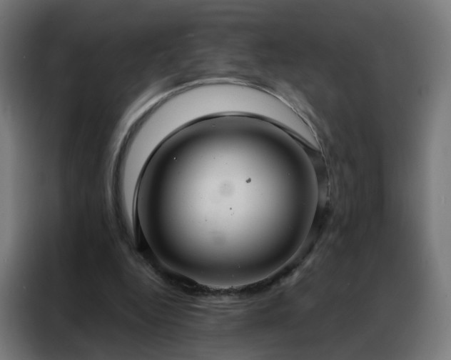 X0000088180344200705221647