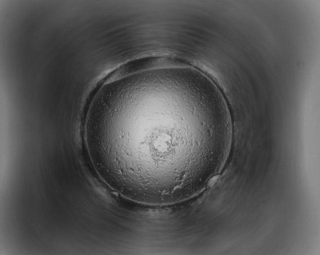 X0000088180345200705221647