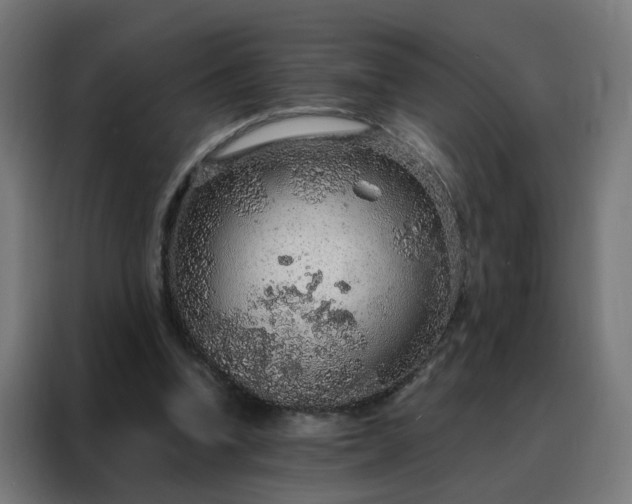 X0000088180346200705221647
