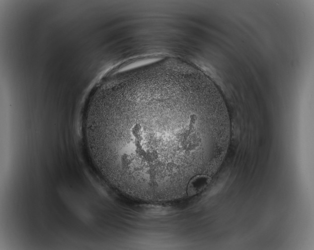 X0000088180347200705221647