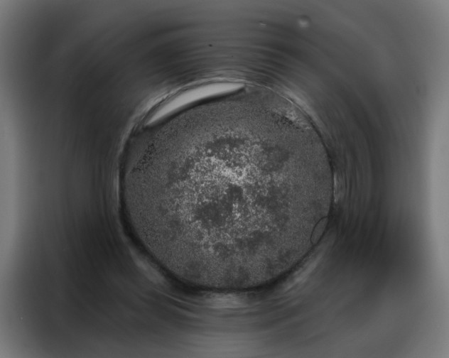 X0000088180349200705221647