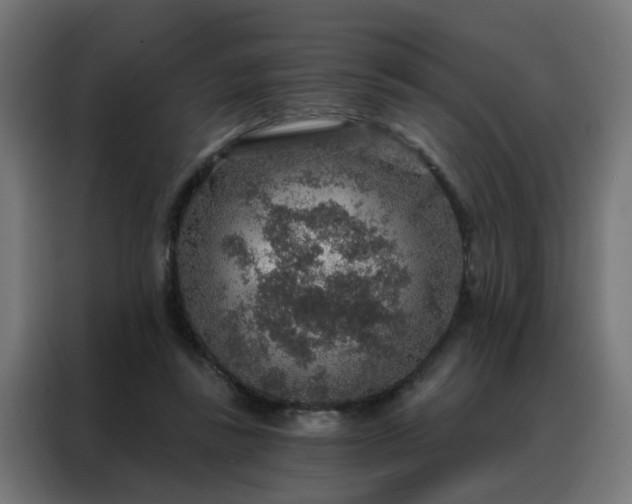 X0000088180355200705221647