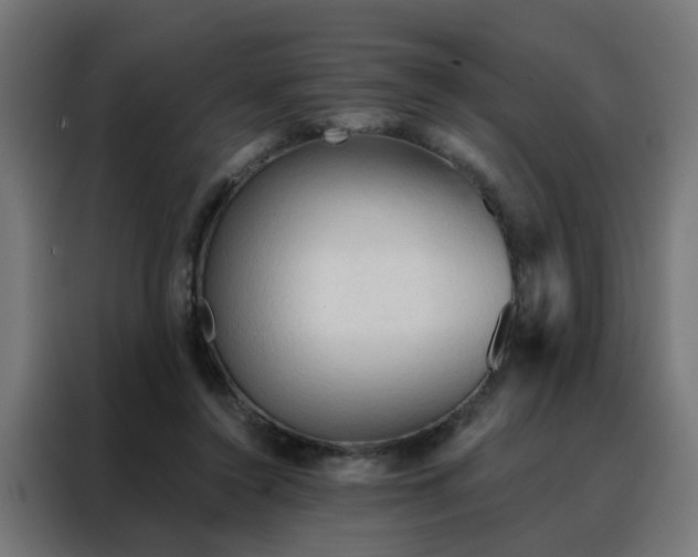 X0000088180356200705221647