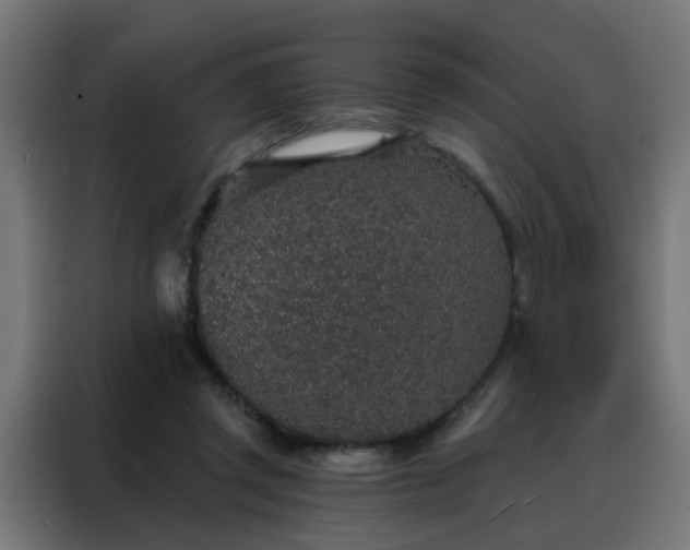 X0000088180357200705221647