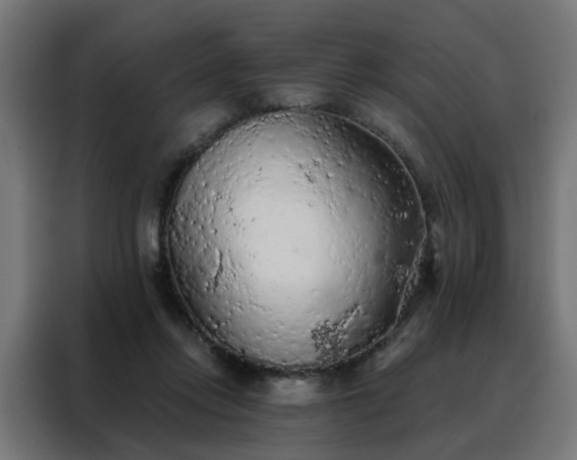 X0000088180358200705221647