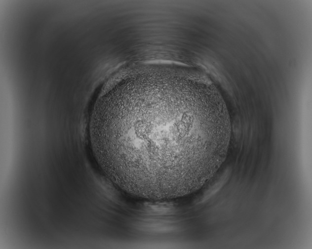 X0000088180359200705221647