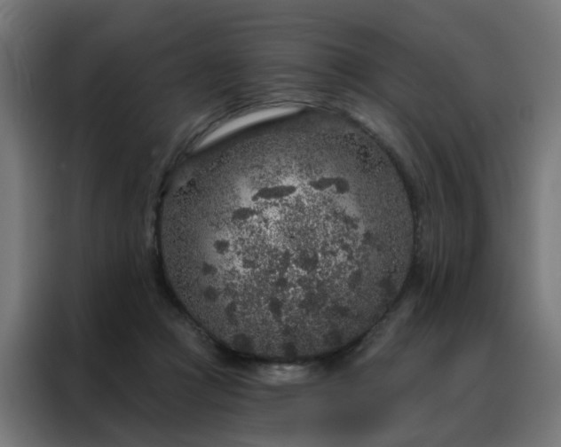 X0000088180361200705221647
