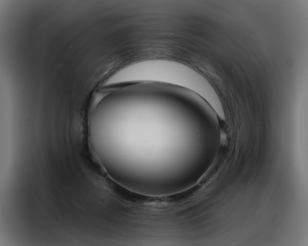 X0000088180362200705221647