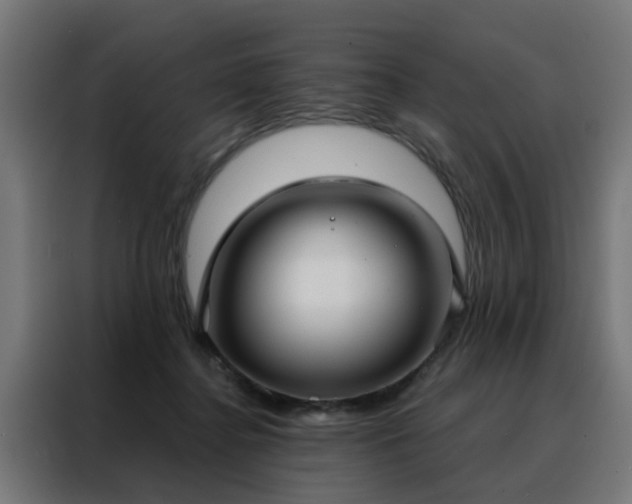 X0000088180364200705221647