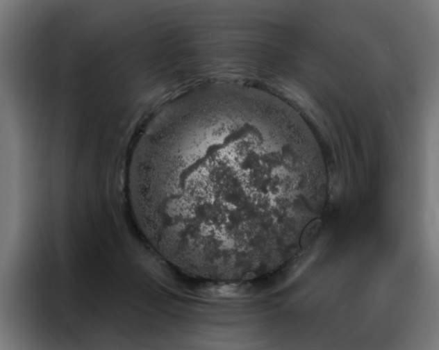 X0000088180365200705221647