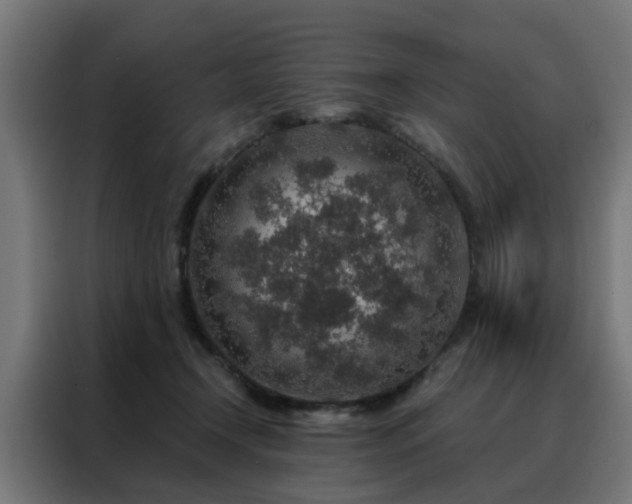 X0000088180366200705221647