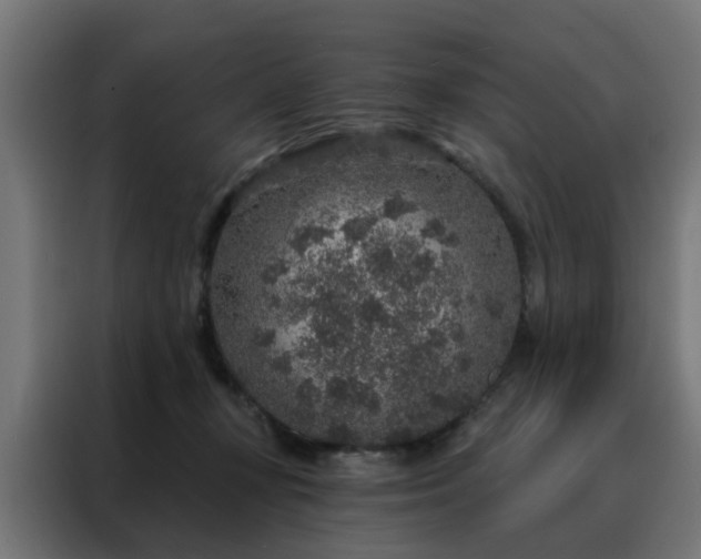 X0000088180367200705221647