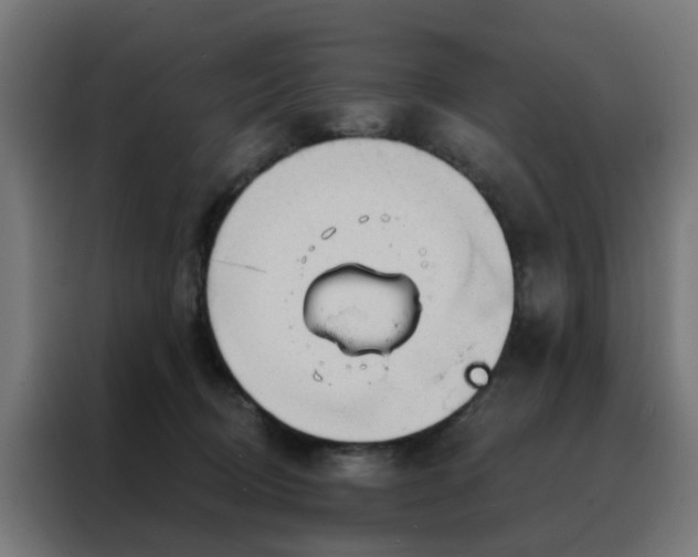 X0000088180370200705221647
