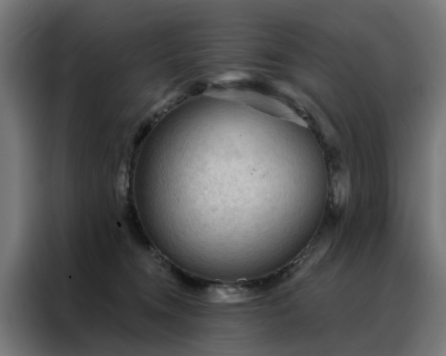X0000088180372200705221647