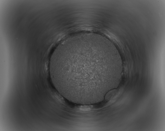 X0000088180373200705221647
