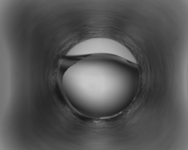 X0000088180376200705221647