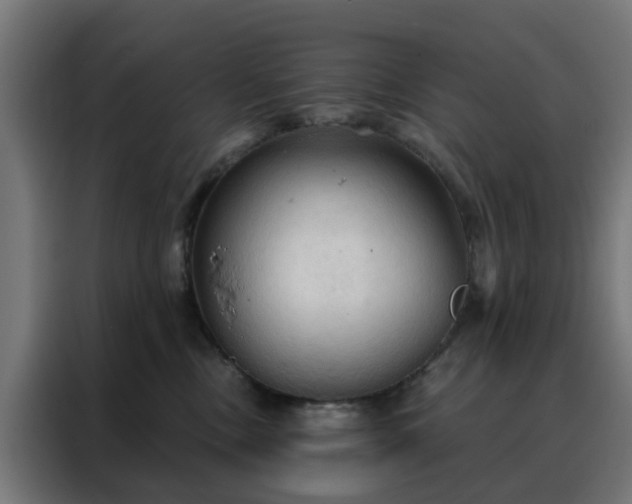 X0000088180378200705221647