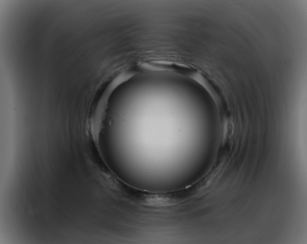 X0000088180380200705221647