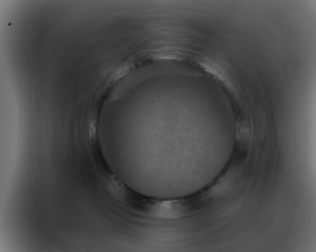 X0000088180382200705221647