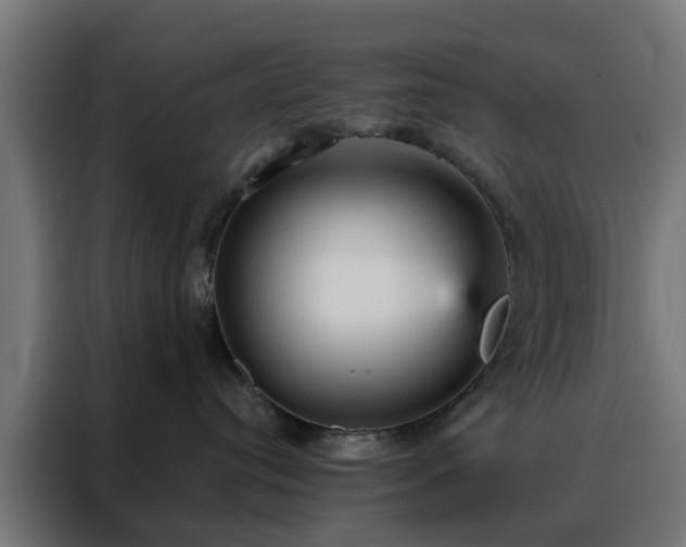 X0000088180384200705221647