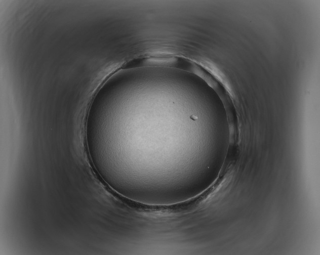 X0000088180385200705221646