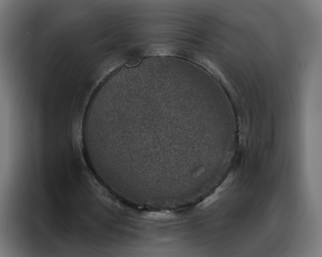 X0000088180386200705221646