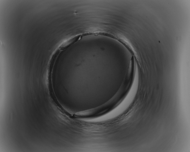 X0000088180387200705221646