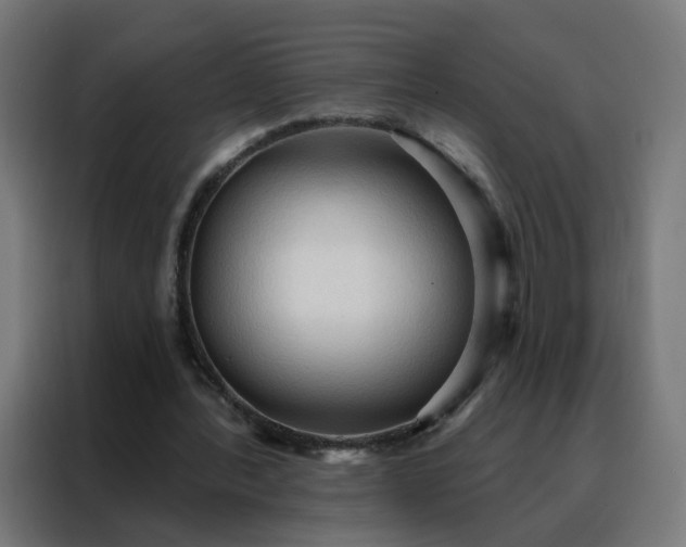 X0000088180388200705221646