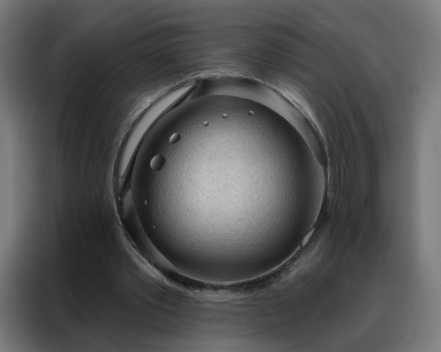 X0000088180389200705221646