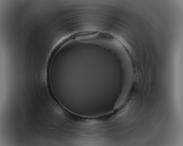 X0000088180391200705221646
