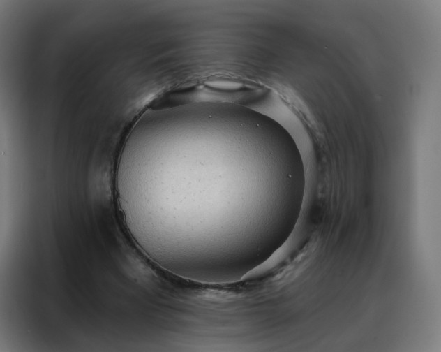 X0000088180393200705221646