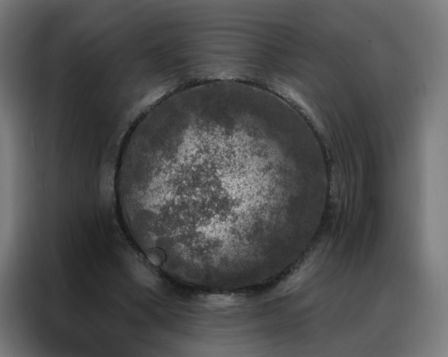 X0000088180394200705221646