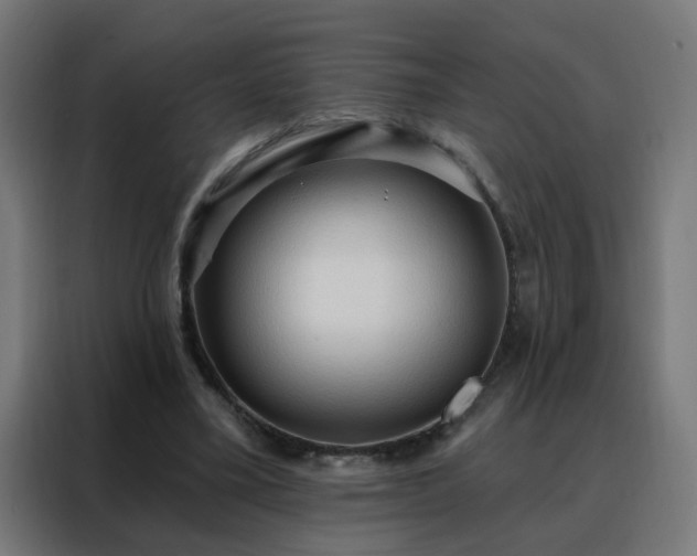 X0000088180395200705221646