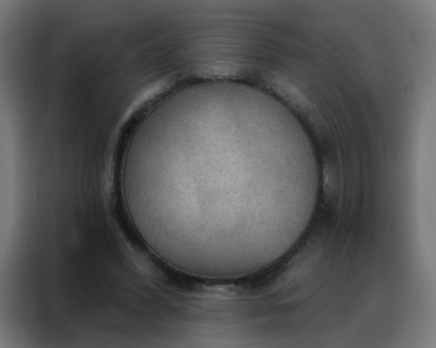 X0000088180396200705221646