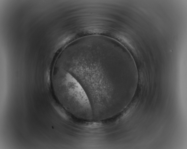 X0000088180398200705221646