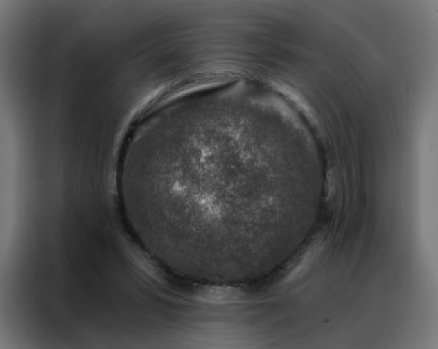 X0000088180399200705221646