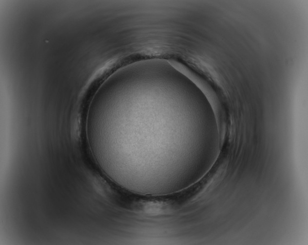 X0000088180400200705221646