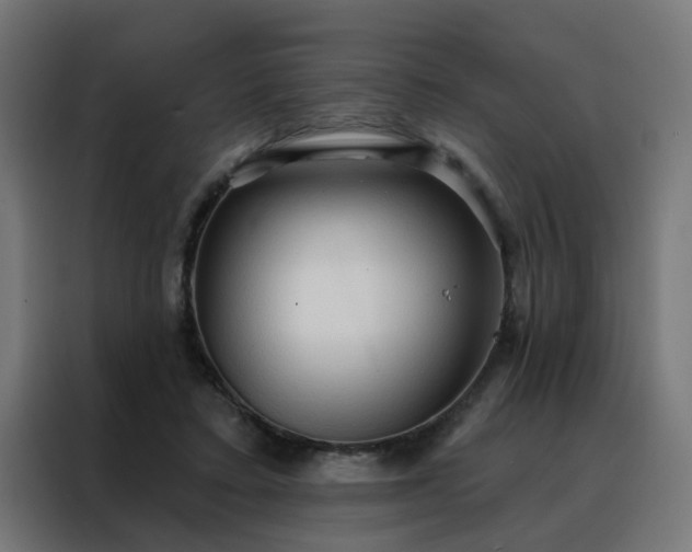 X0000088180403200705221646