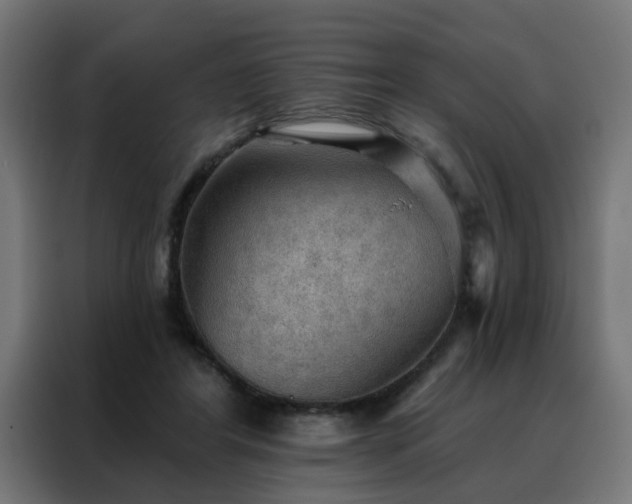 X0000088180404200705221646