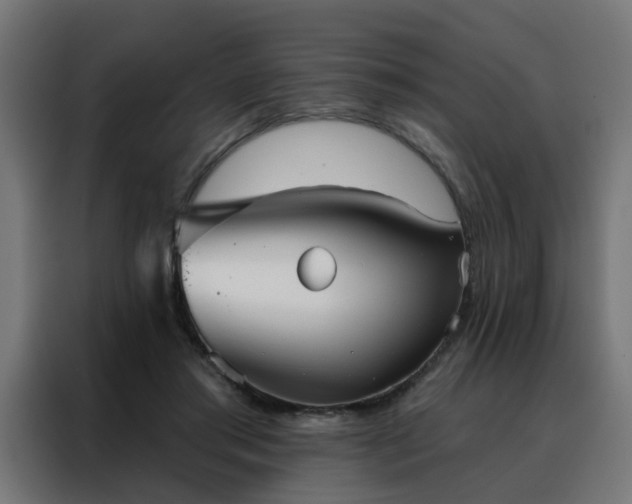 X0000088180405200705221646