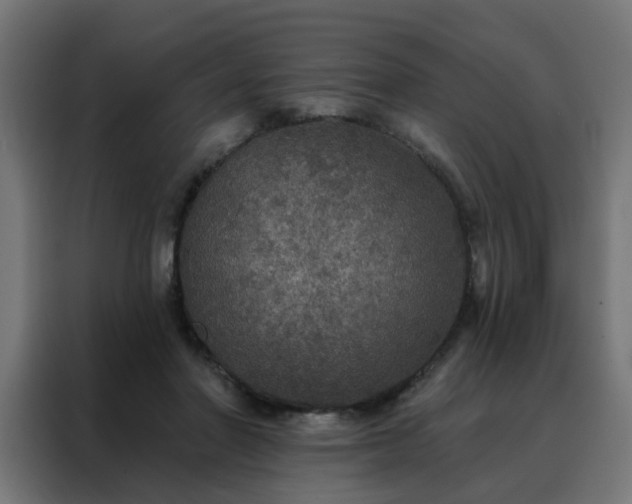 X0000088180406200705221646