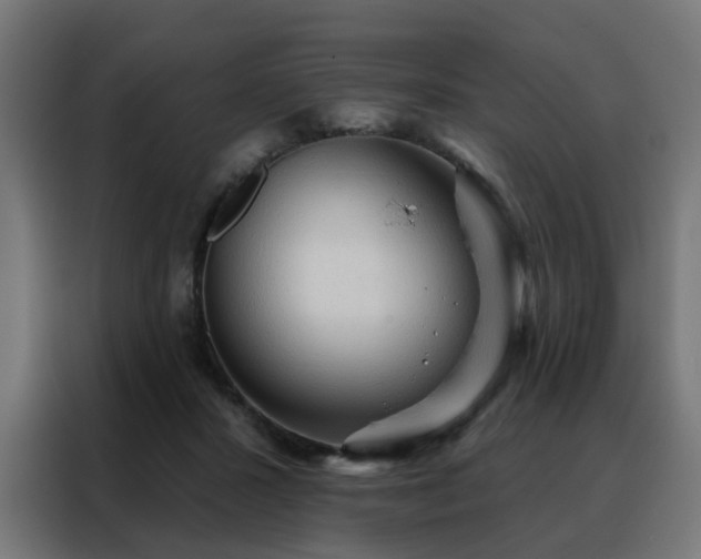 X0000088180407200705221646