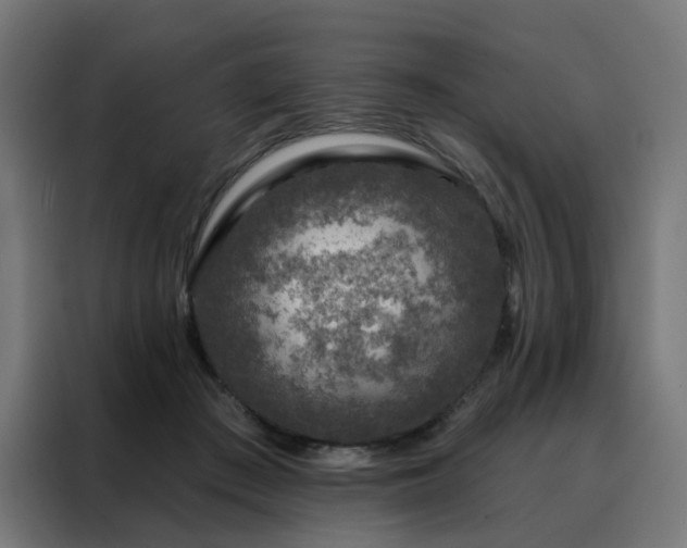 X0000088180409200705221646