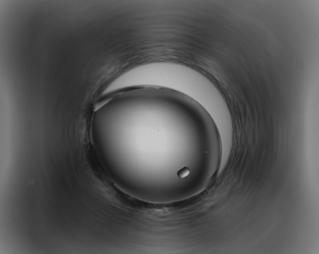 X0000088180411200705221646