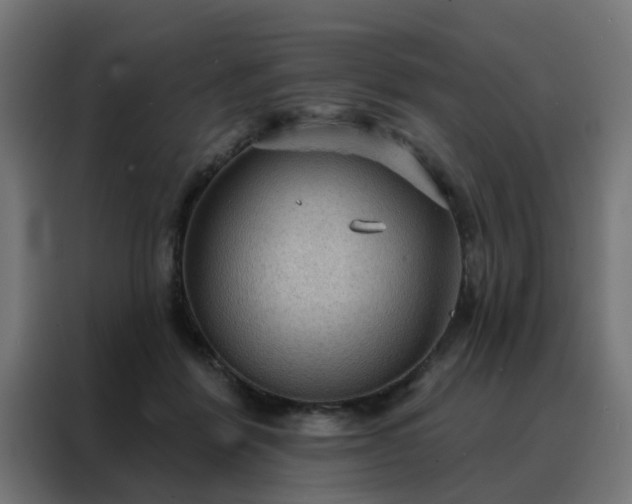 X0000088180412200705221646