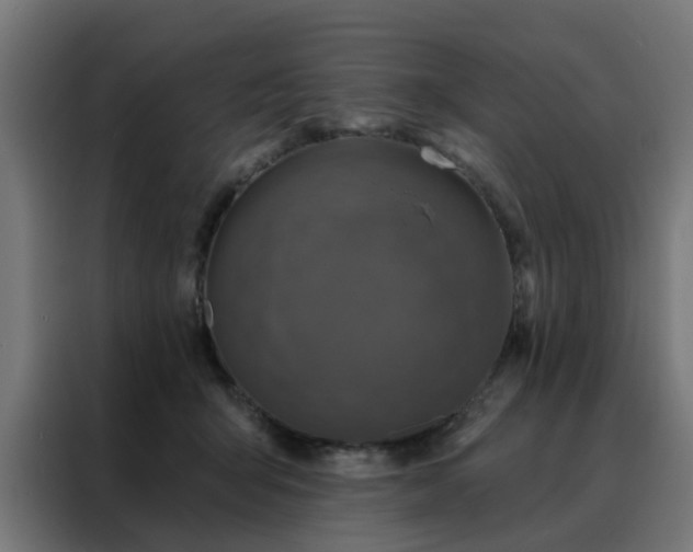 X0000088180415200705221646