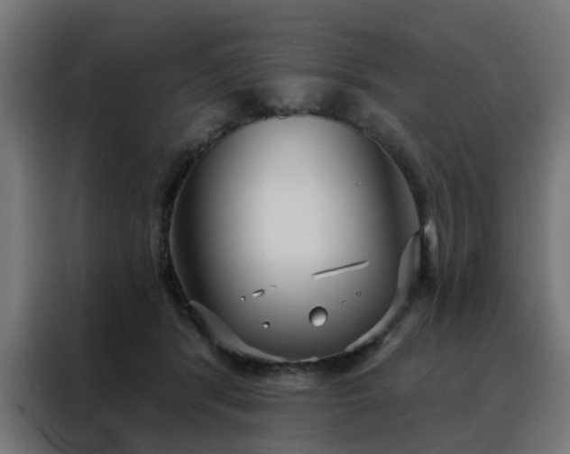 X0000088180416200705221646