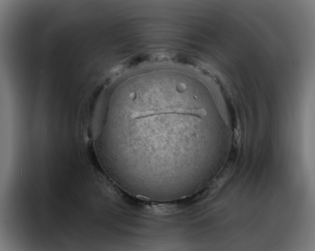 X0000088180417200705221646