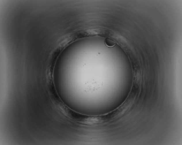 X0000088180418200705221646
