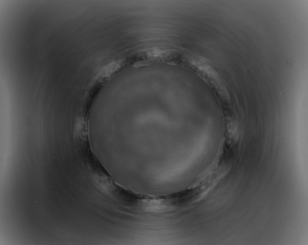 X0000088180419200705221646